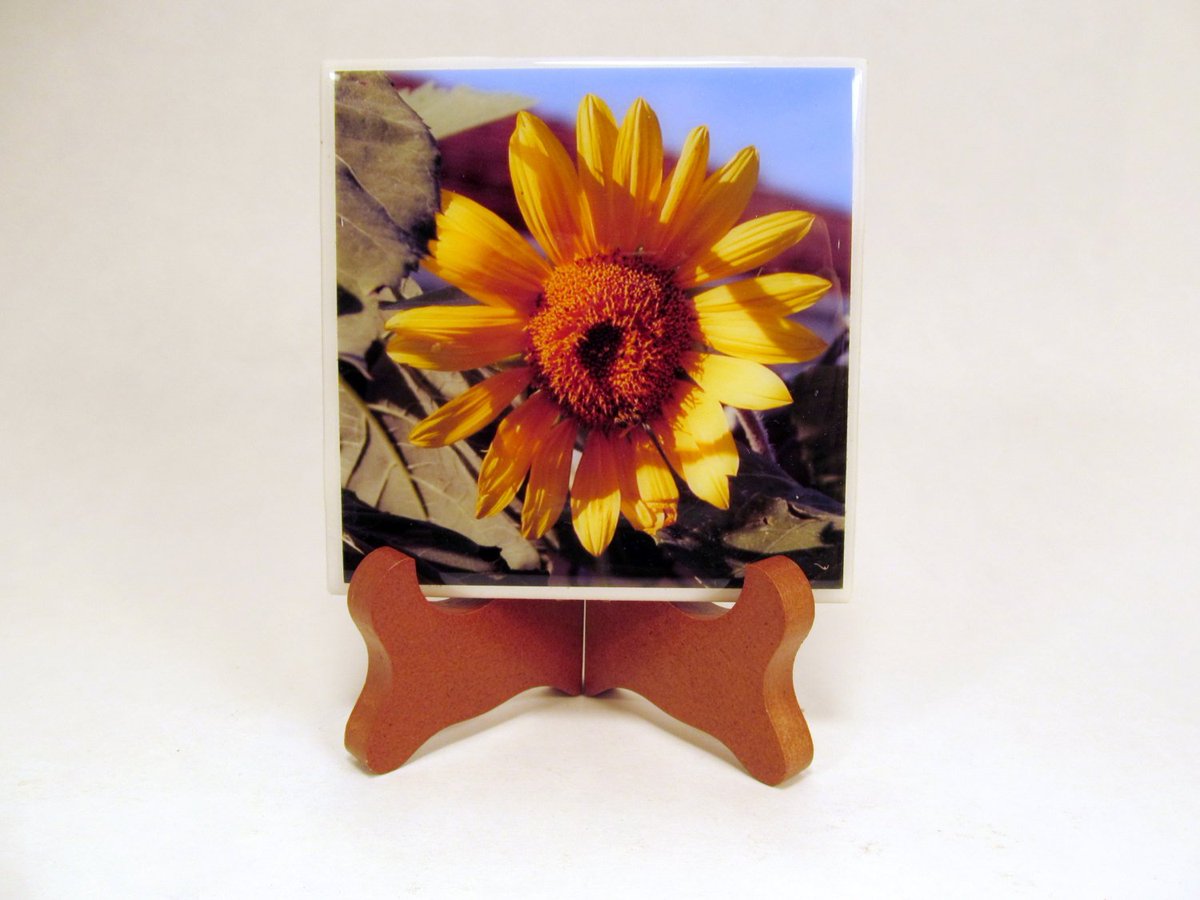 dovesclosetinc's tweet photo. Sunflower Handmade Photo Coaster, FI81 https://t.co/TfI8iXa2z5 #PhotographyByRoger #SunflowerCoaster https://t.co/72ZQWQx9FY