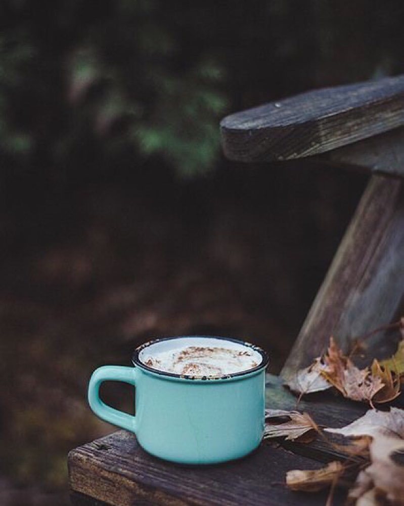 MiriamAMSLD's tweet photo. Deuxième grand plaisir du matin !
Bonjour tout le monde !
#amsld #t #cafe #morningcoffee https://t.co/xwVoMuOEil