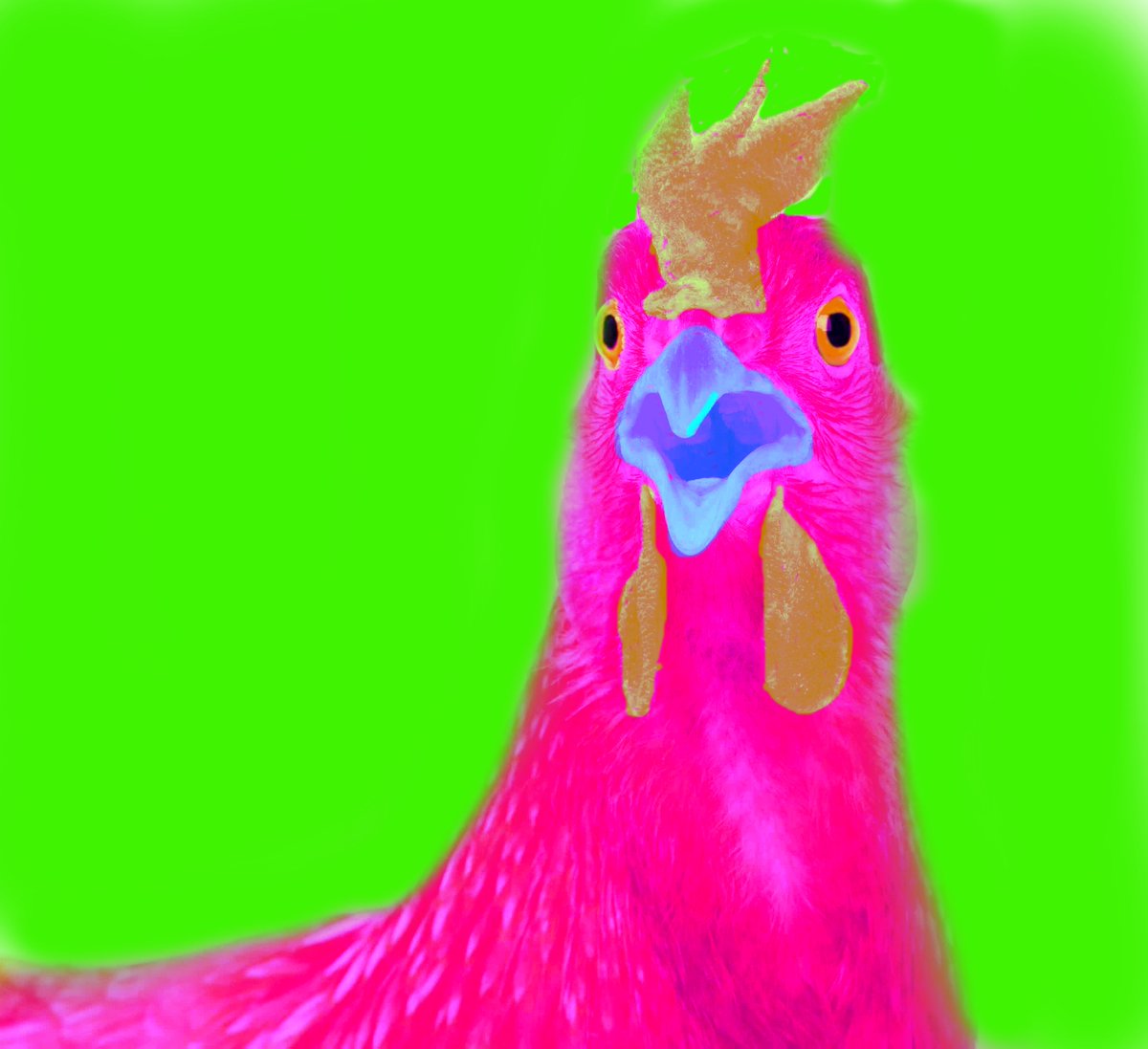 minecraft3606's tweet image. LSD Chicken