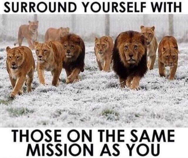 MyRecruitBoard's tweet photo. https://t.co/Qi2FeBAfYY https://t.co/c2Ww12yQhl