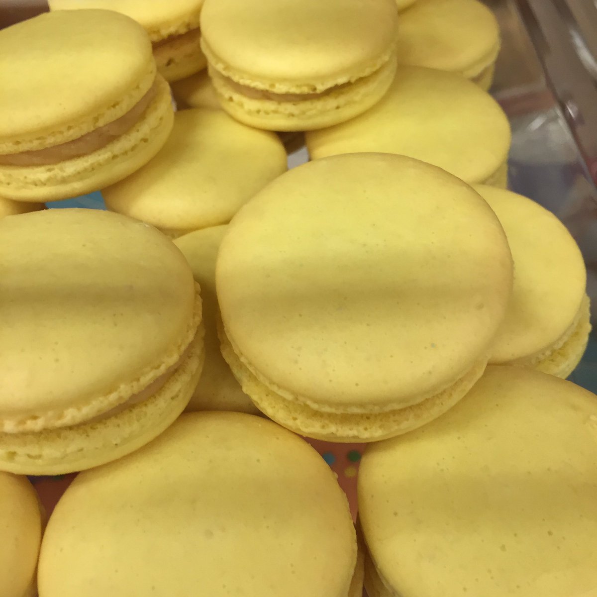 citymacaron's tweet photo. Perfect day for these sunny lemon Macarons! #Westend #Vancouver #macaron #Mac #treat #shoplocal #glutenfree  #city https://t.co/trfiiiv4ns