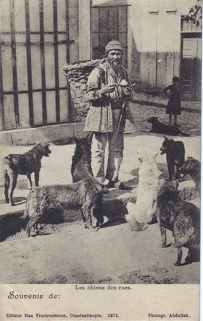 Yemeğini köpeklerle paylaşan küfeci -1890-