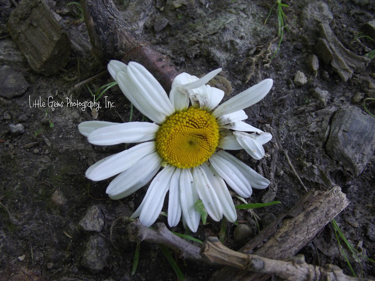 Just because something isn't perfect, doesn't mean it's not beautiful #EmbraceImperfections #MomentsThatSparkle