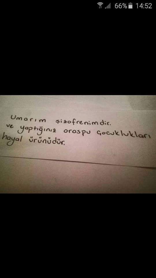 Umarım şizofrenimdir.
Ve yaptığınız orospu çoçuklukları hayal ürünüdür.