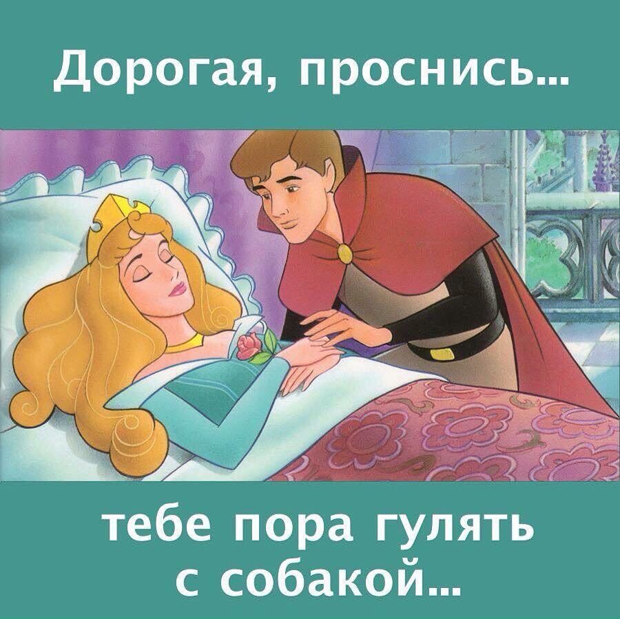 Пора вставать картинки прикольные мой дорогой