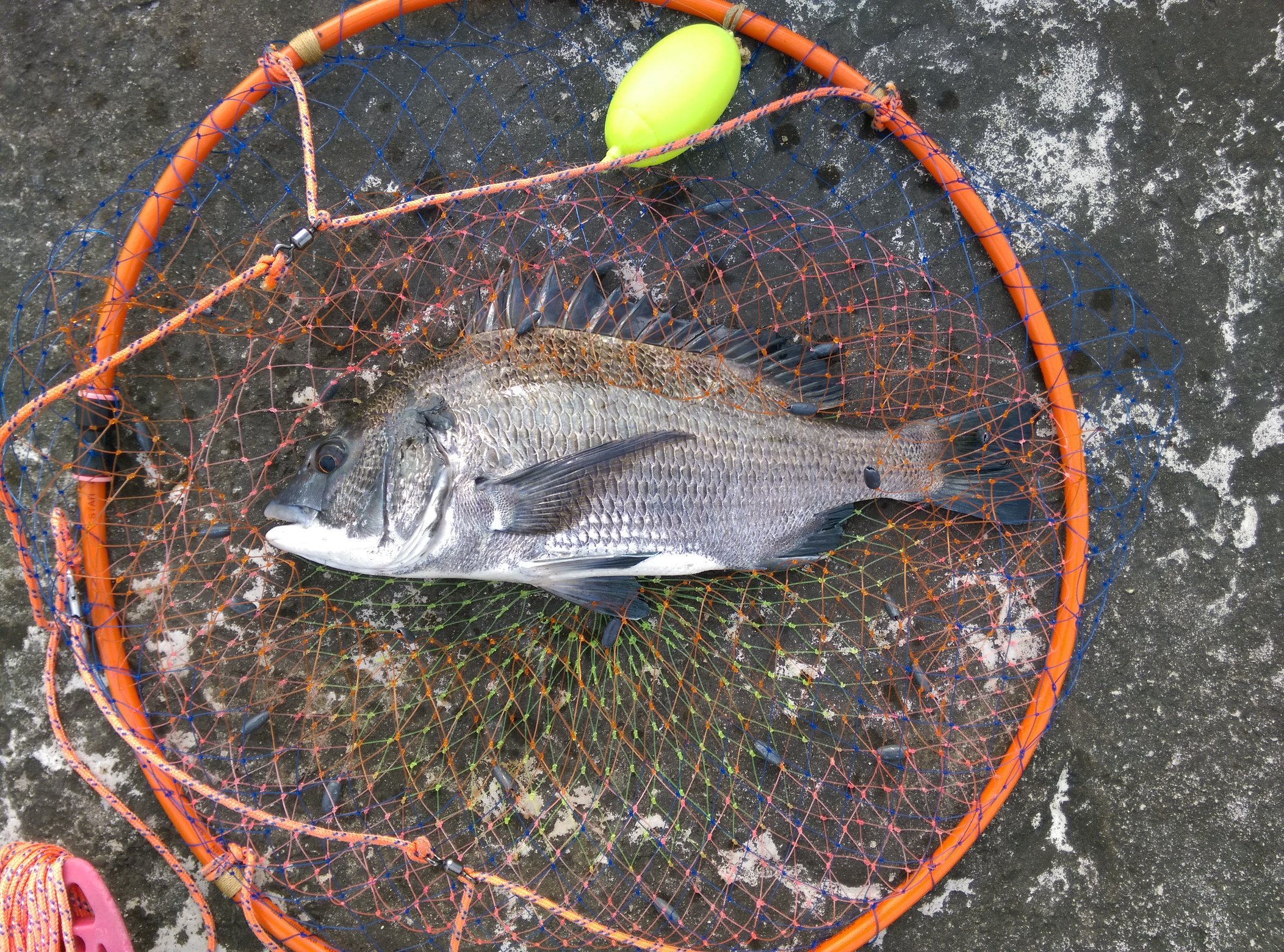 堤防行走人 Hechi Player Twitter