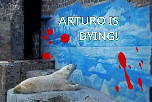 MaryanPM's tweet photo. .@koninklijkhuis PLS Maxima use ur Royal influence! #Arturo2Canada He is dying& need ur HELP
https://t.co/vI3sHgqEso https://t.co/TRmq6M4Z2L
