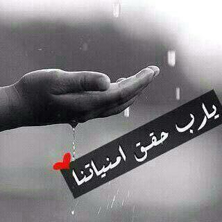 سالم المري (@s053559090900) on Twitter photo 