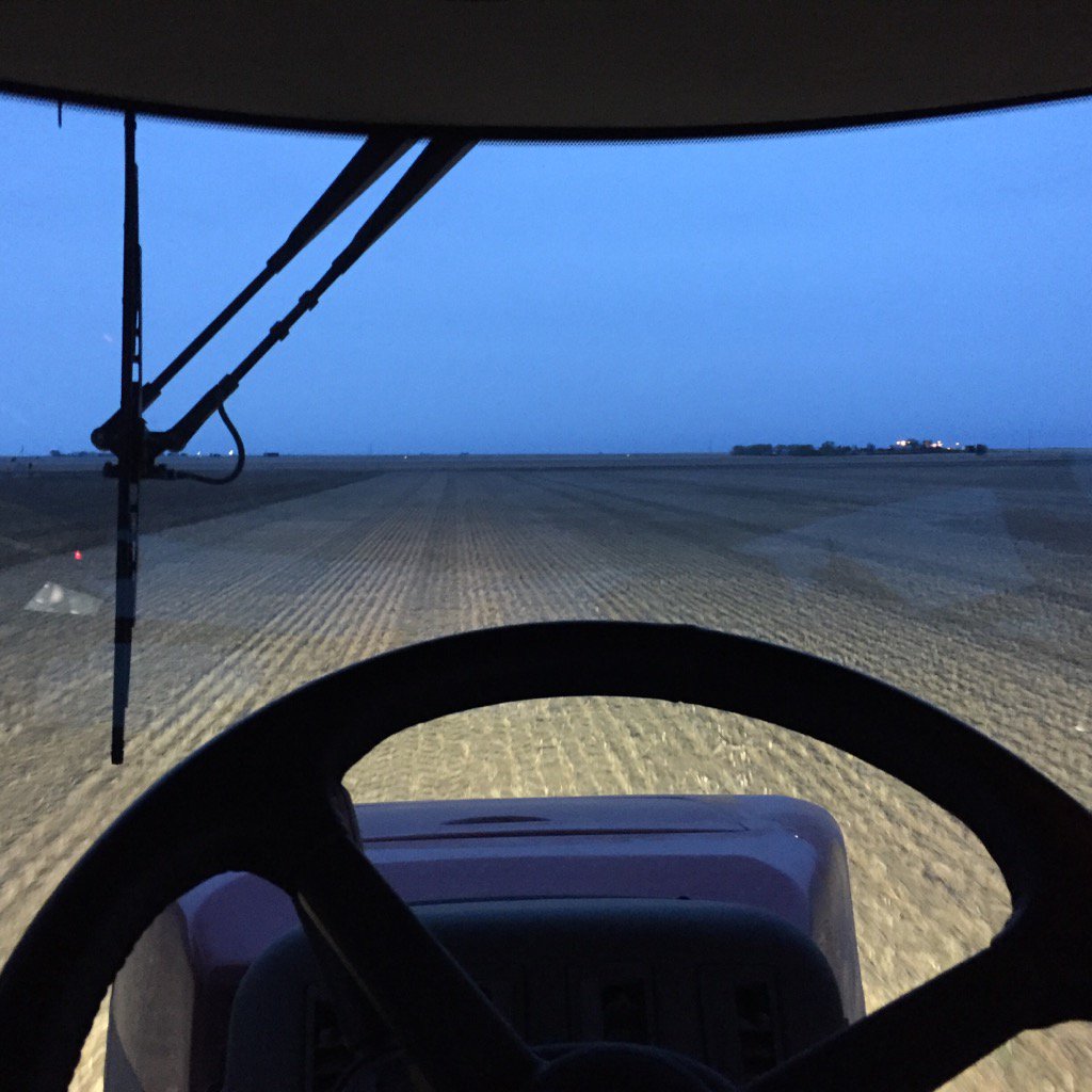 DirtFarmerMcB's tweet image. In case you light weights were wondering when it becomes light out, Answer is 5am! #Fawk #AllNighter #plant16