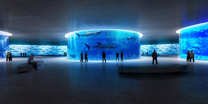 aquarium latest news breaking