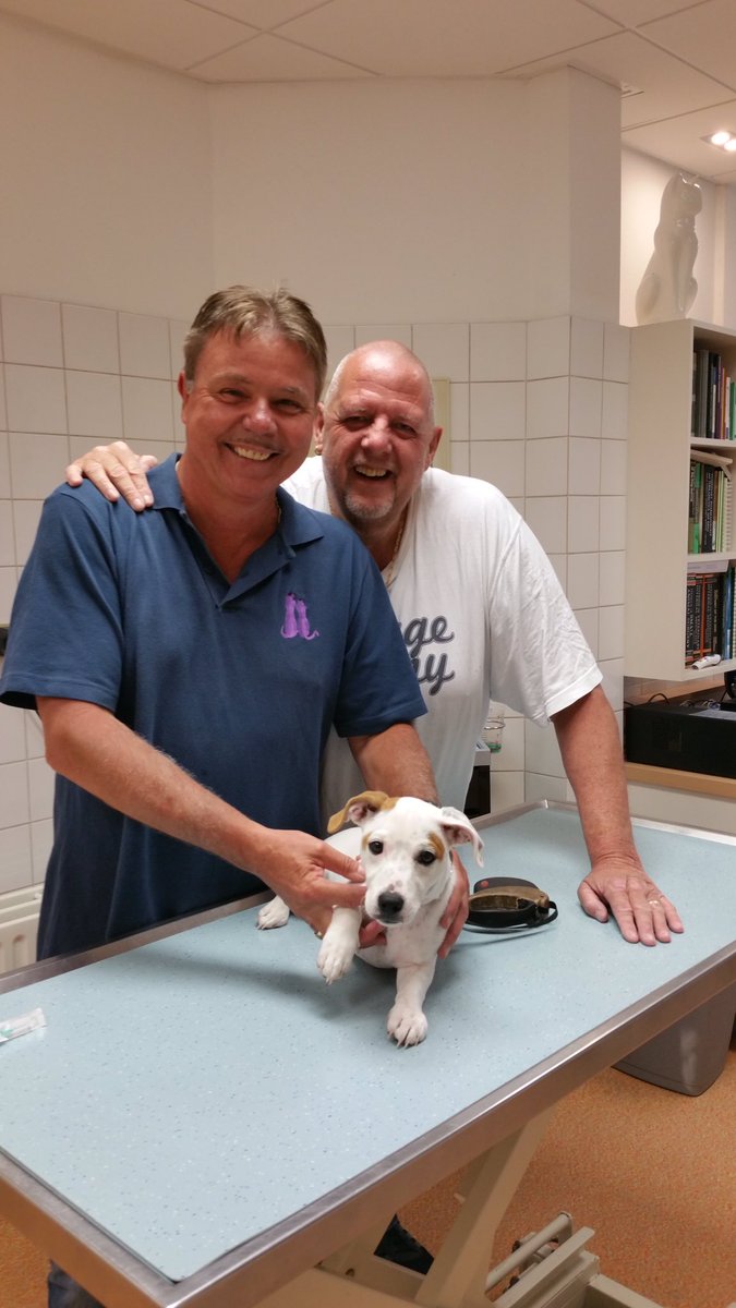 henkbres's tweet photo. Effe een leuk berichtje....Jimmy helemaal gecheckt vandaag door Hans vd Lubbe mijn favoriete dierenarts #allesoke https://t.co/TQSDCcSkZ0
