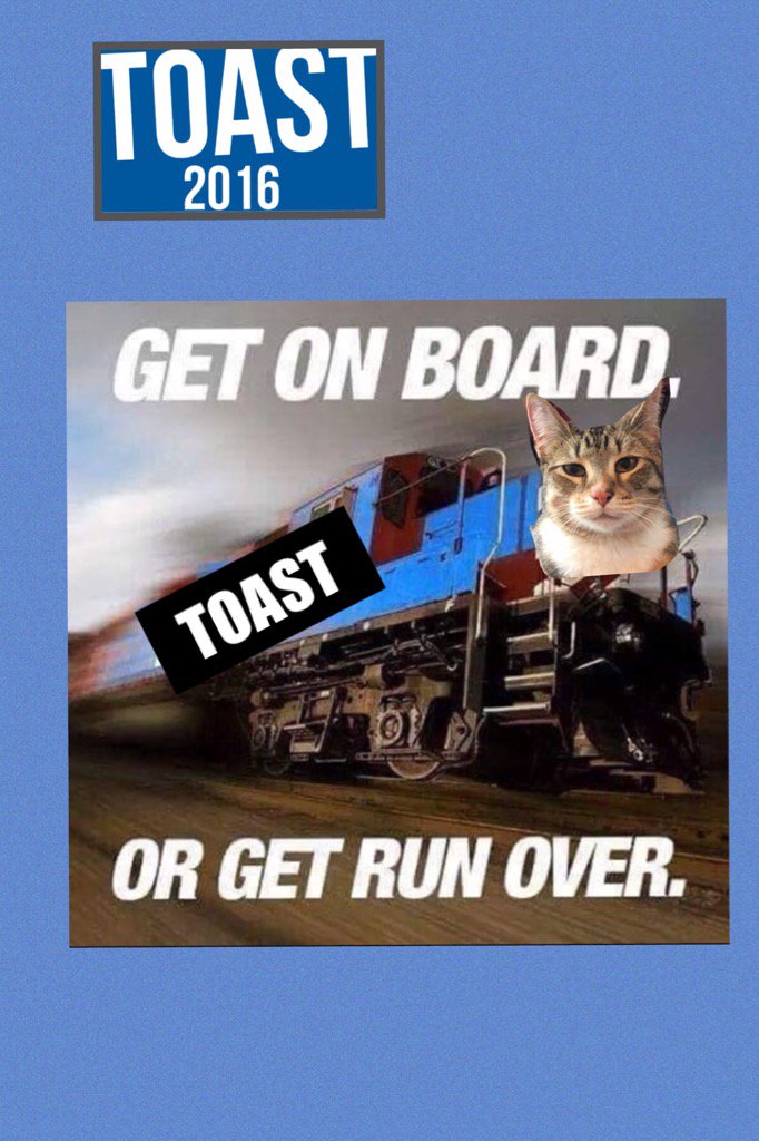 Toastcat4618's tweet photo. #toasttrain leaving the station--all aboard, or else #TrumpTrain #crush2016 #killinit #cats https://t.co/hWVFkyTAx9