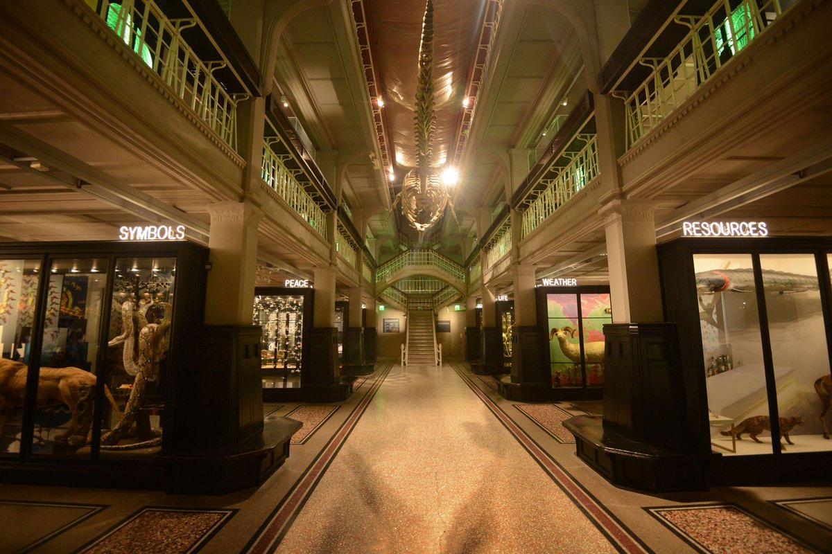 seesawprojects's tweet photo. Join us this Thursday @MCRAfterHours when we bring our interactive drawing event to @McrMuseum #McrAfterHours https://t.co/O91W3v3wlk