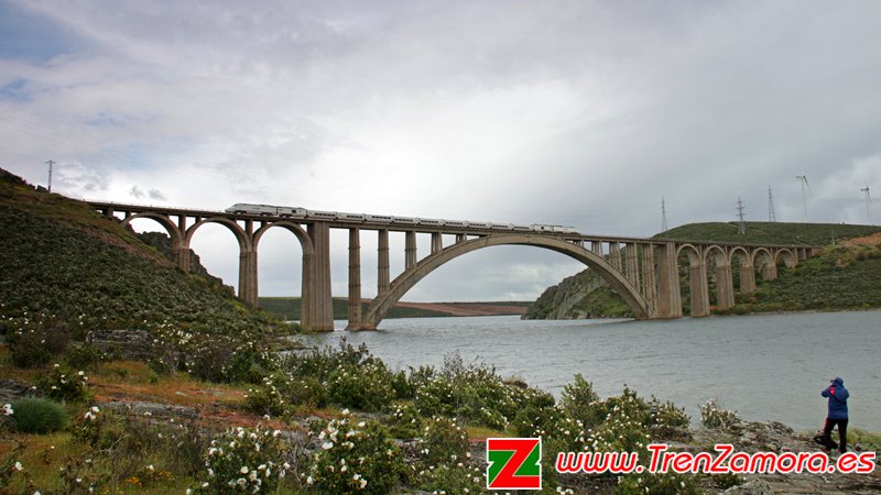 GrupoTrenZamora tweet picture