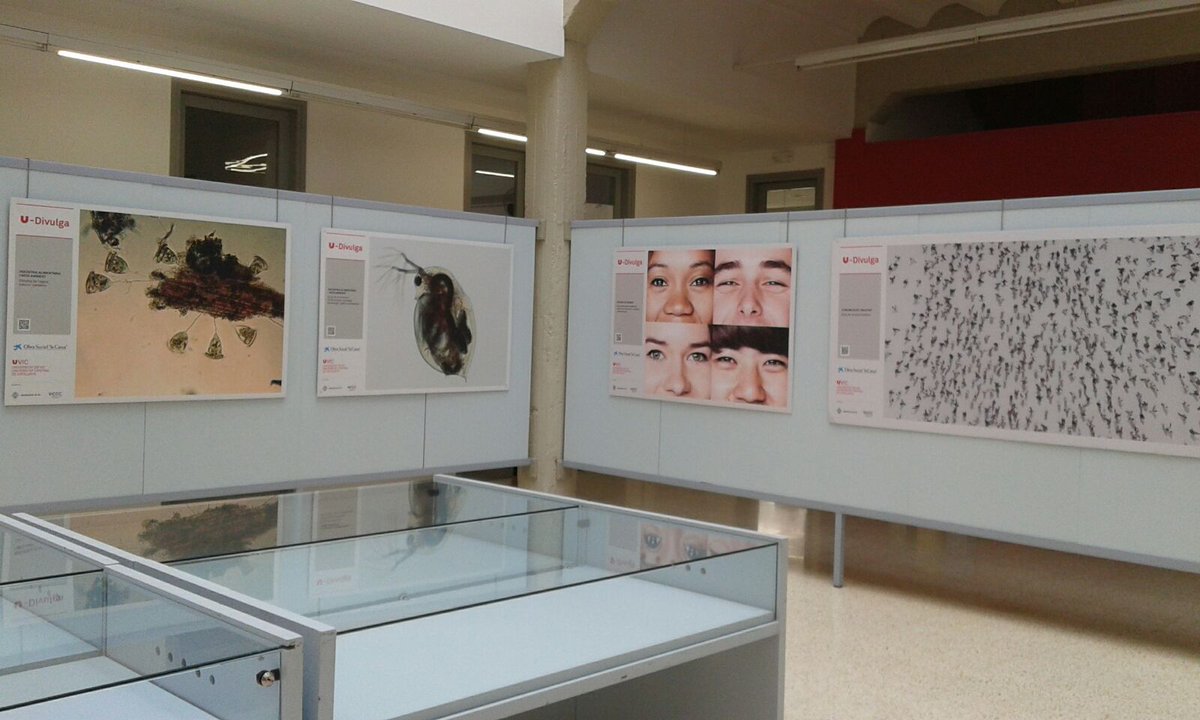 Fins el 3/06 exposició Street Science a Campus Miramarges goo.gl/KUxYCK #uvic @uvic_news <a href="/UVicLife/">UVicLife</a>