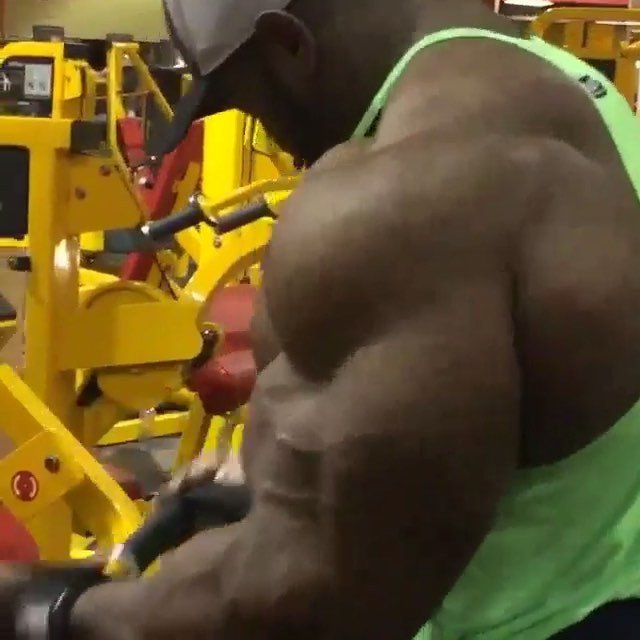 OnlyAlphas's tweet photo. That monster Pump! 💪
@ifbbproakimwilliams Puttin' Work!

#onlyalphas https://t.co/KayiTQeqHl https://t.co/QbYQdmWTOb
