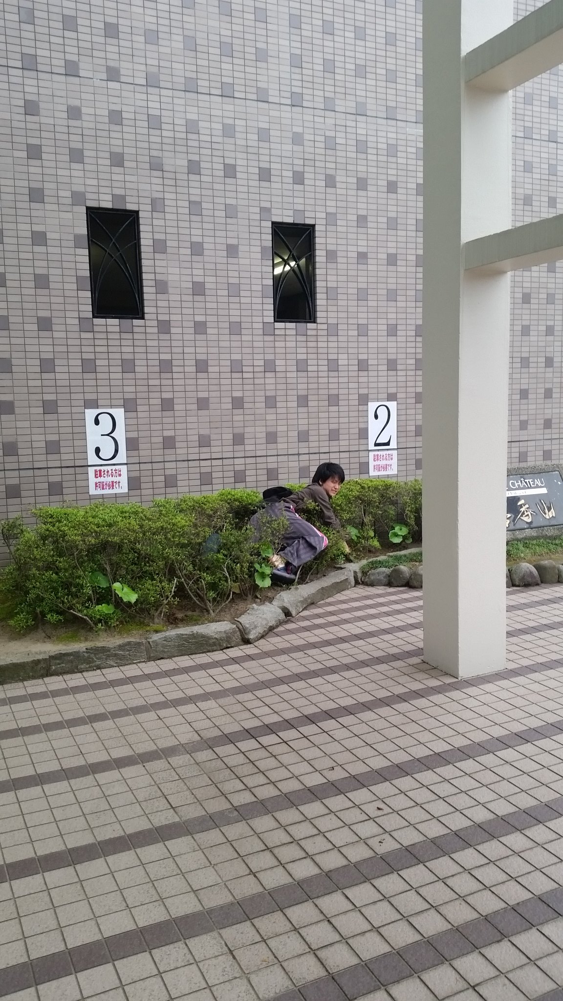 聖生 屋上からの飛び降り自殺失敗 T Co G5gifdzeal Twitter 聖生 屋上からの飛び降り自殺失敗 T Co G5gifdzeal Twitter