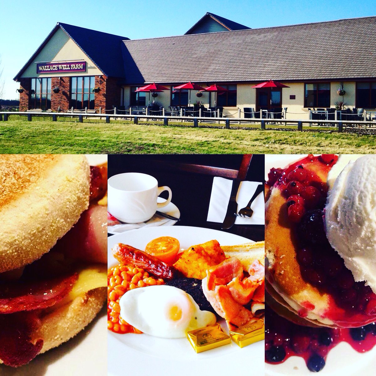 5215Farm's tweet photo. Enjoy the sun at Wallace Well Farm ☀️ Breakfast served until 11am #wallacewellfarm #glasgow #robroyston #breakfast https://t.co/knjvEOMAxX
