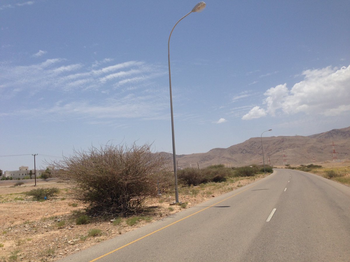 شاكر لكم اعمالكم الملموسة
ملاحظتي البسيطة :
بازالة لأشجار بالطريق الخلفي بمنطقة حي الشروق والتي تحجب الرؤية للمركبات