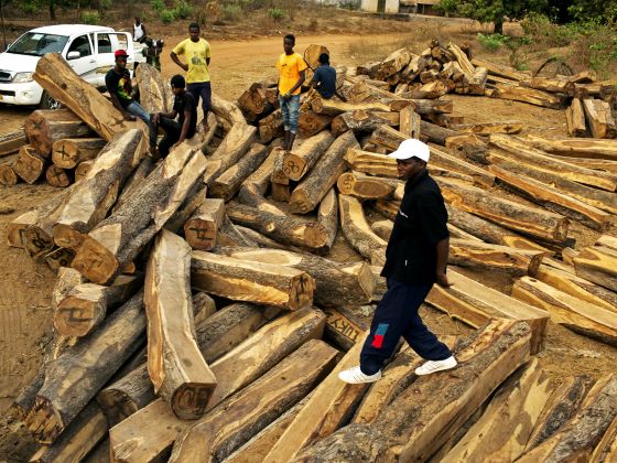 John E. Scanlon AO tweet media