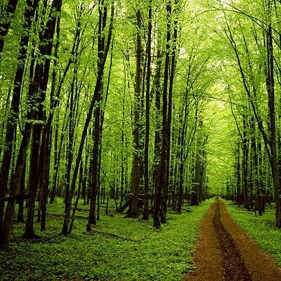 SealProSA's tweet photo. #SEALPRO #Waterbased #EcoFriendly We love the environment.
So should you. https://t.co/7GD40QXkpc https://t.co/yyWJ7vHKOb