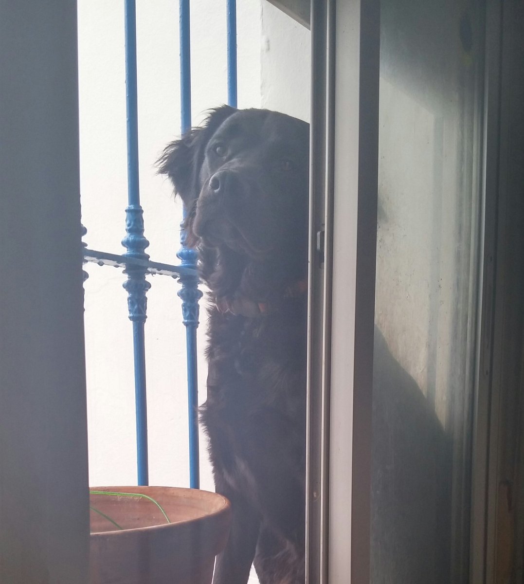 Nushhky's tweet photo. Aquí, viendo llover.. https://t.co/b7OlMRFO7T