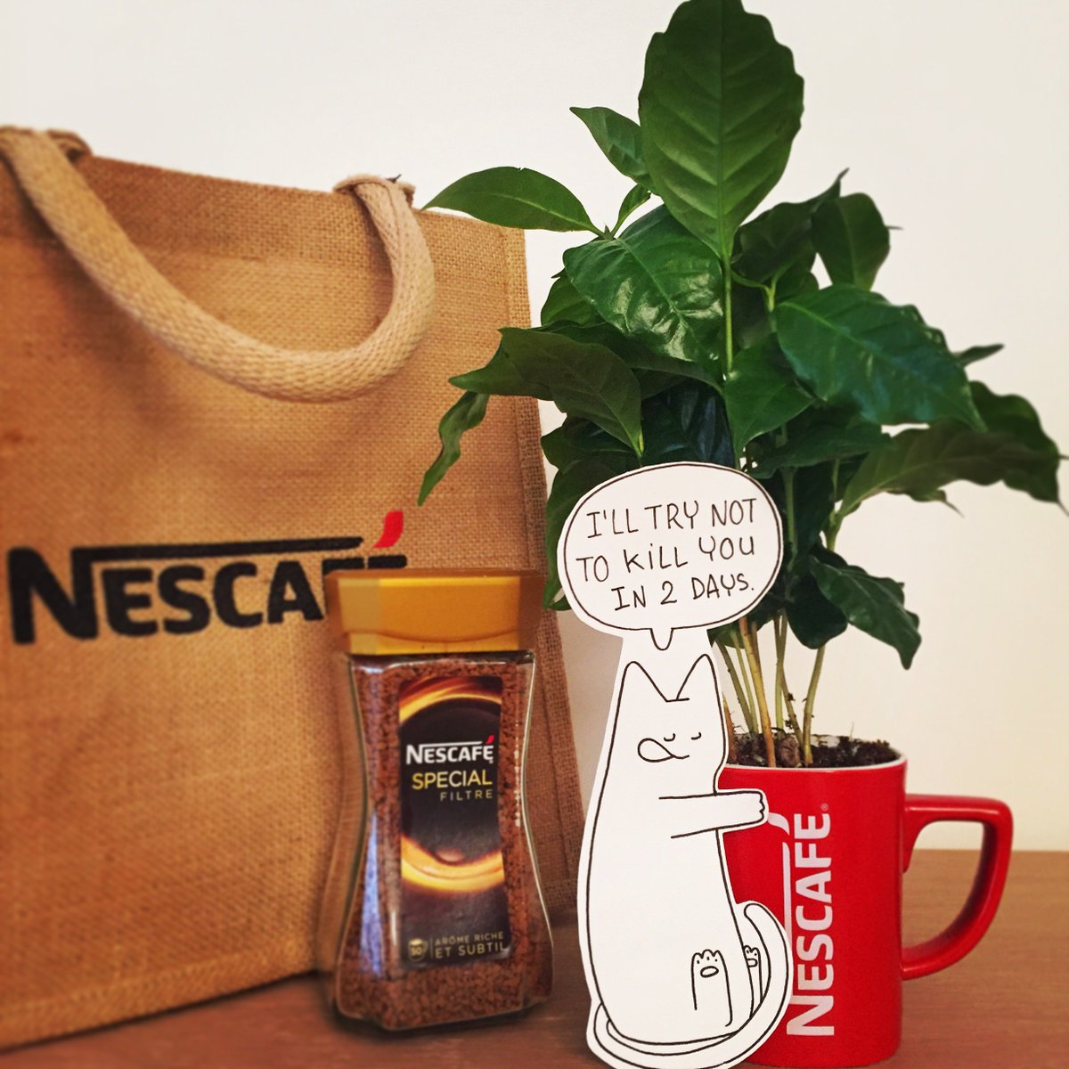 Hey @NESCAFEfr <a href="/SamRobbe/">samuel robbe</a> look what I got this morning ❤️
#coffee #cat #ItAllStarts