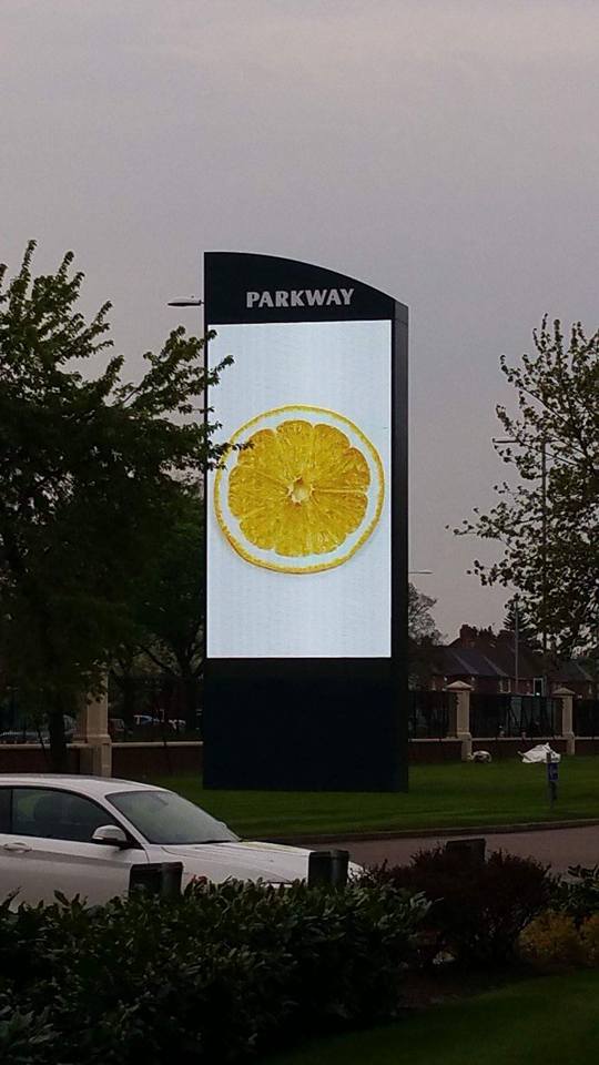 SKEventsLiveUK's tweet photo. The lemons are appearing again..... https://t.co/J6ah6x1Epf