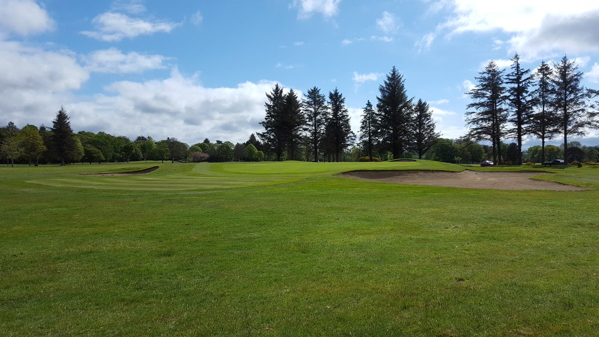 Best of luck to all playing in the Musgraves Golf Day today. It's a stunning morning 🌞🌳⛳

#lovekillarney