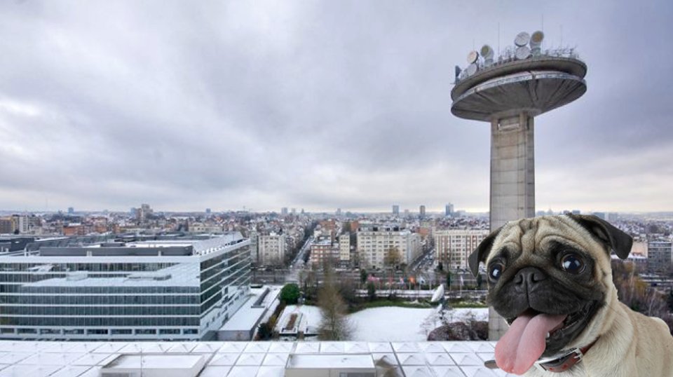 Here's pitch N°2! We have a brief for <a href="/VRT/">VRT</a>! Mark your agenda: May 23 = Briefing-night. GO FETCH!! #YoungDogs