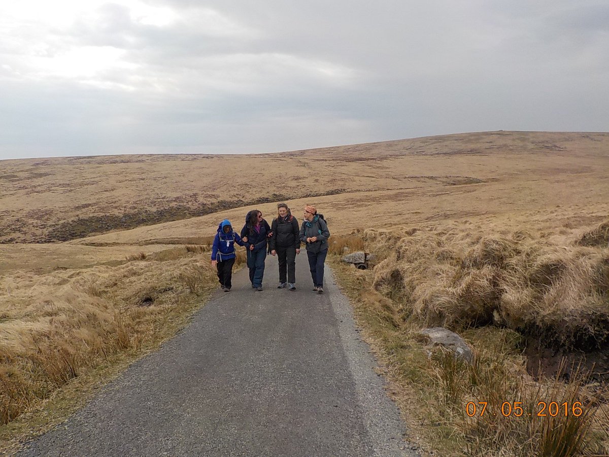Bidwell Brook tweet media
