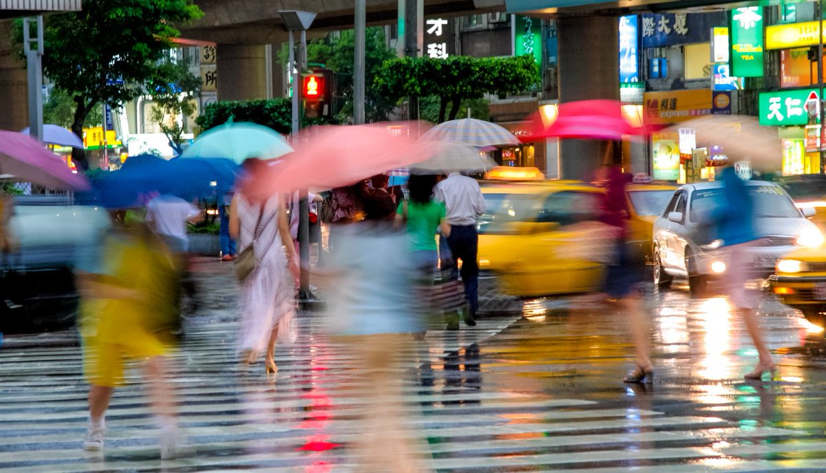 Total Linguistics tweet media