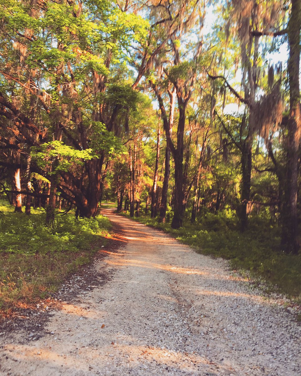 simplerobinb's tweet image. Trail Running Therapy 💚🌿💚 #runnersbliss #endureandenjoy #runner #runhappy #trailrunning