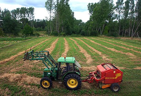 Infobierzo's tweet image. La Junta ejecuta obras concentración parcelaria Quintana de Fuseros y Villadepalos #Bierzo infobierzo.com/la-junta-ejecu…
