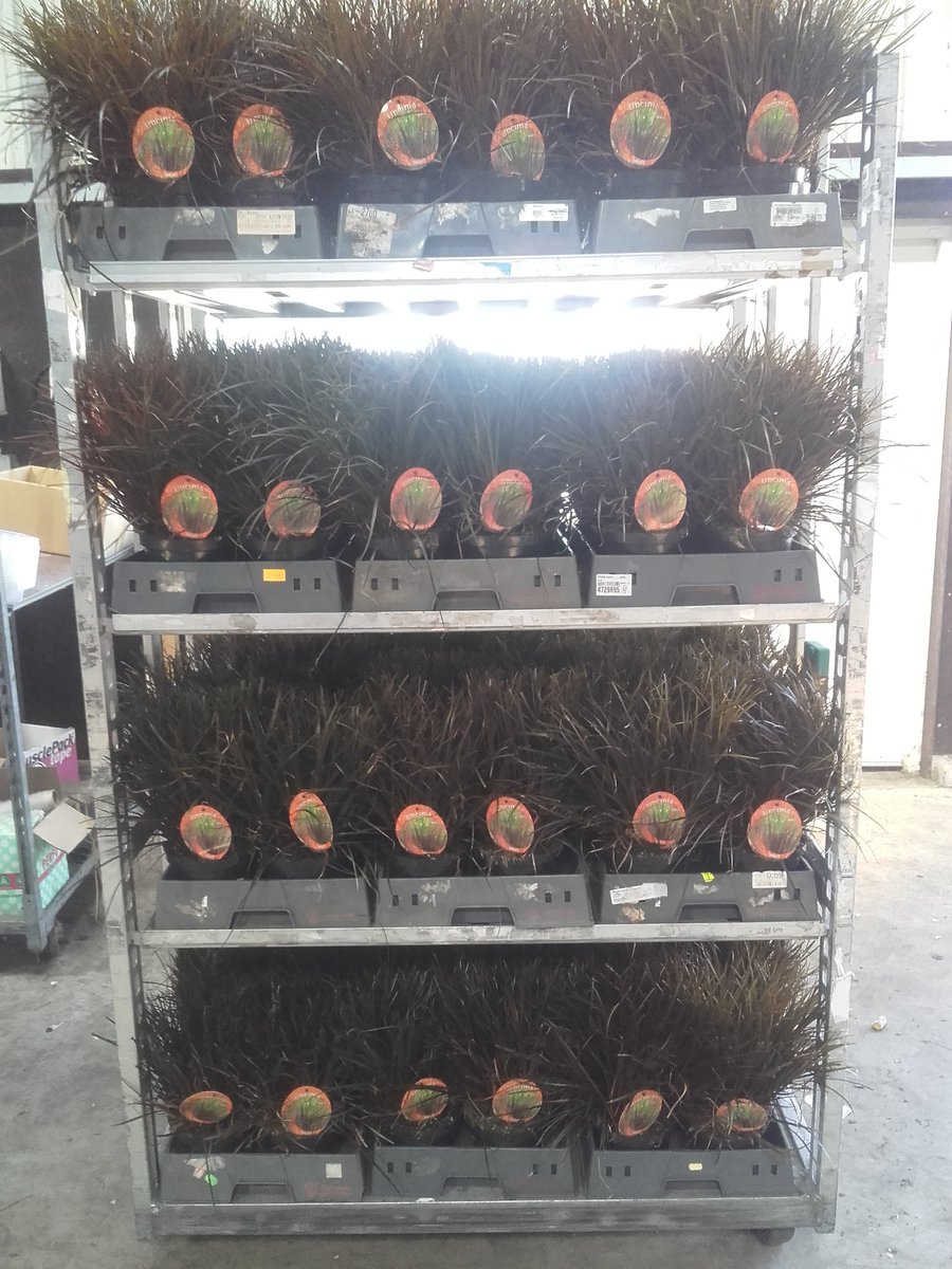 JPvanStraalenJr's tweet image. We hebben weer leuke handel beschikbaar via de klokvoorverkoop. Onder andere dit: @FloraMondo