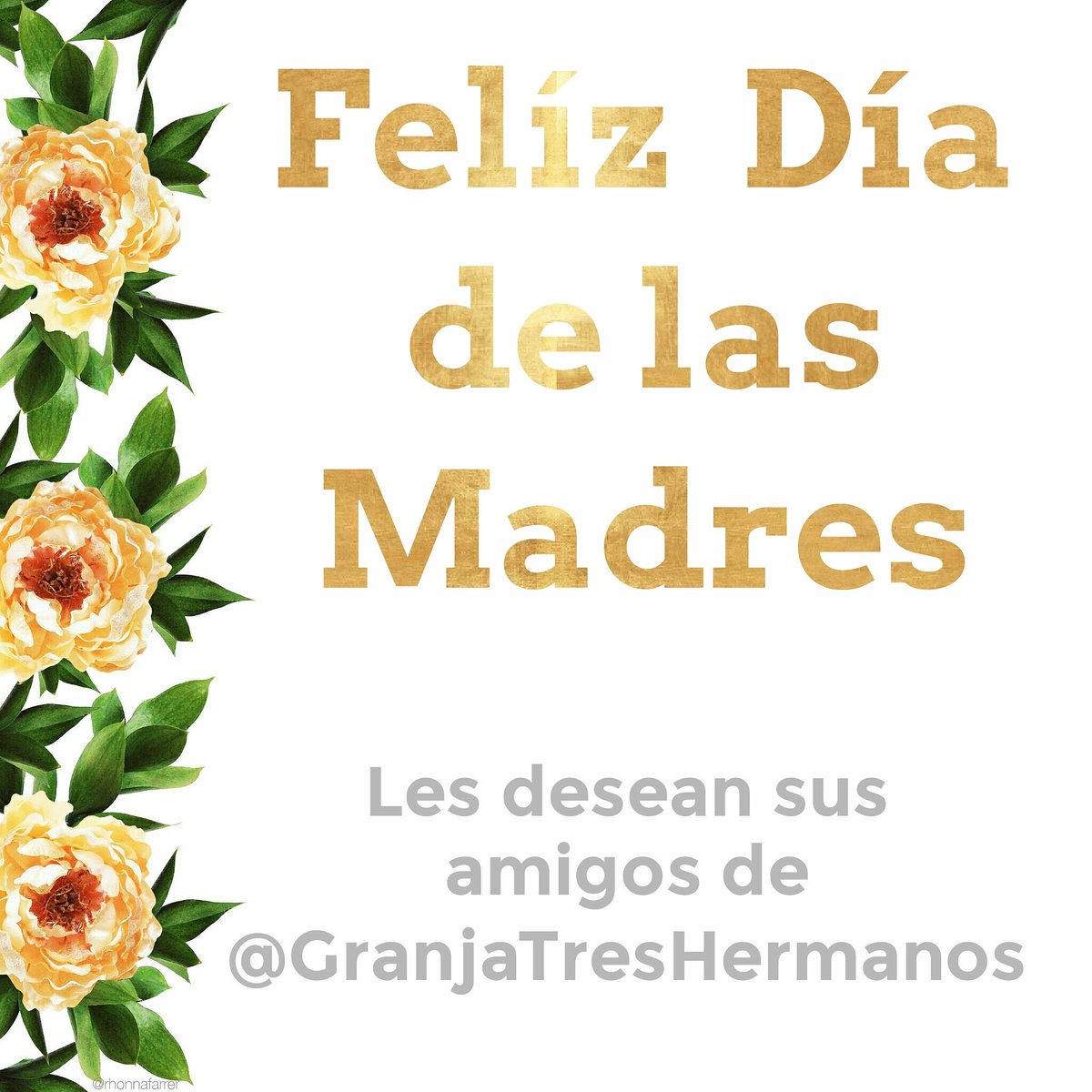 Granja3Hermanos's tweet photo. FELIZ DÍA A TODAS LAS MAMÁS!!!! #porcicultura #diadelamadre #ganadoporcino #ganaderia #tabasco  #twittab https://t.co/MdB60UODlR