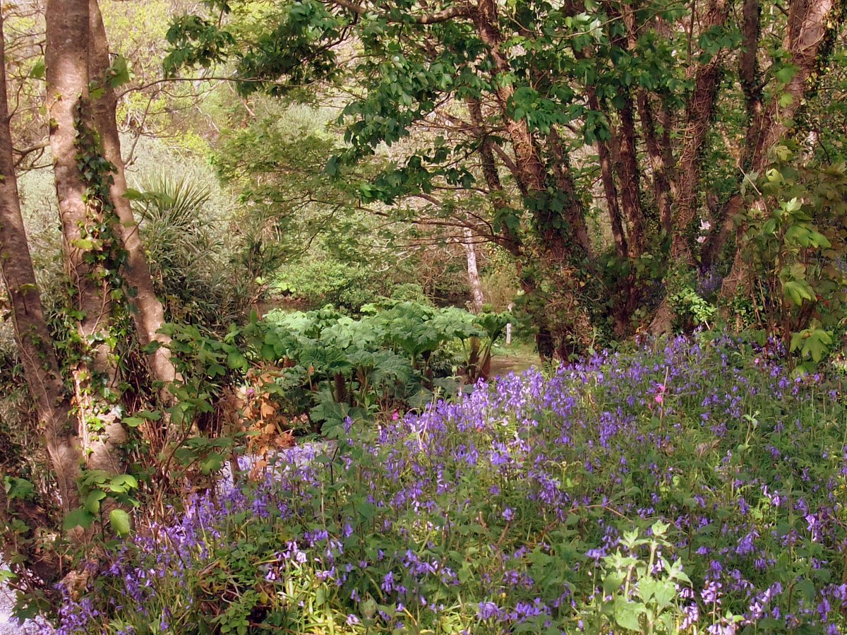 Yellow weather warning for Cornwall. What's that about? Lovely and warm at Lambriggan today in the spring sunshine!