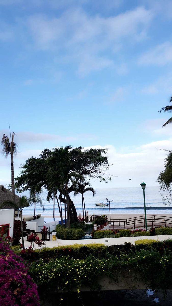 Celina Kenyon (@celinakenyon) on Twitter photo 