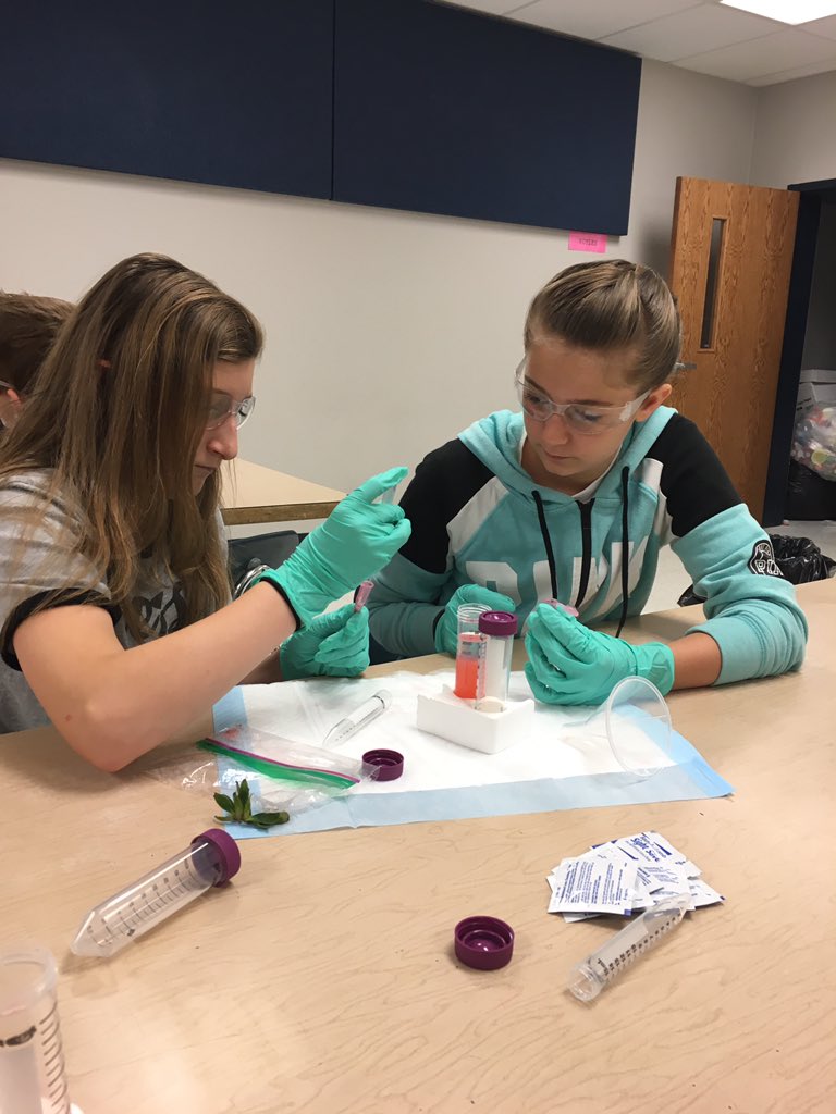 HIntermediate's tweet image. Extracting strawberry DNA. @MosantoCo#STEMcareers