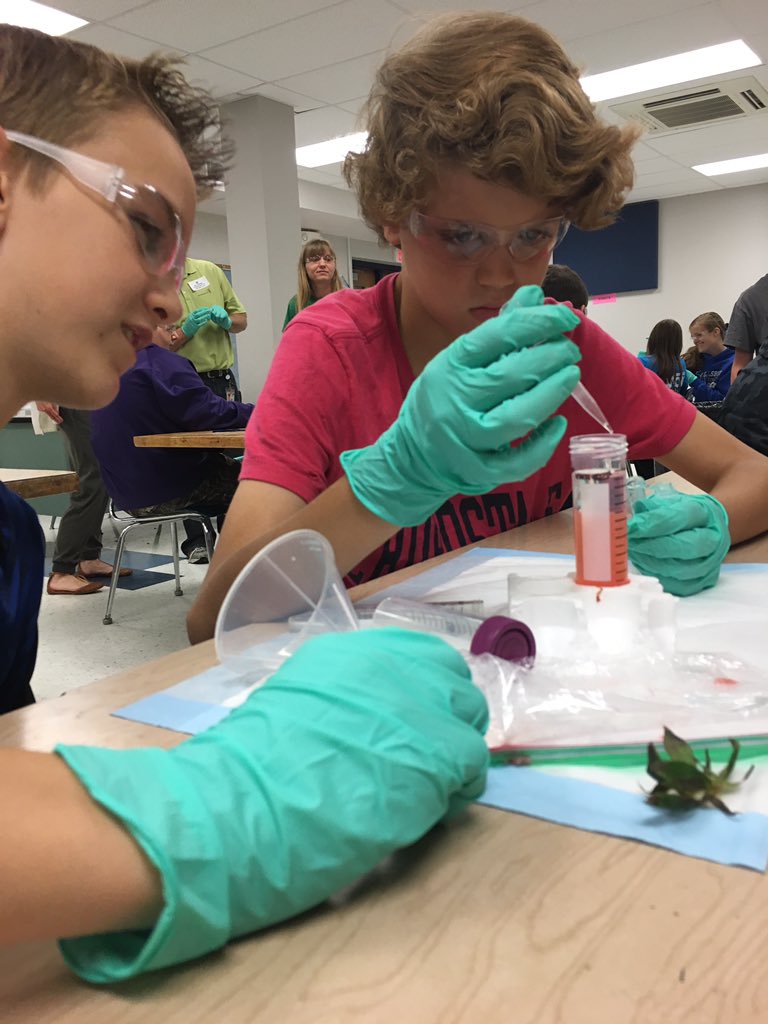 HIntermediate's tweet image. Extracting strawberry DNA. @MosantoCo#STEMcareers