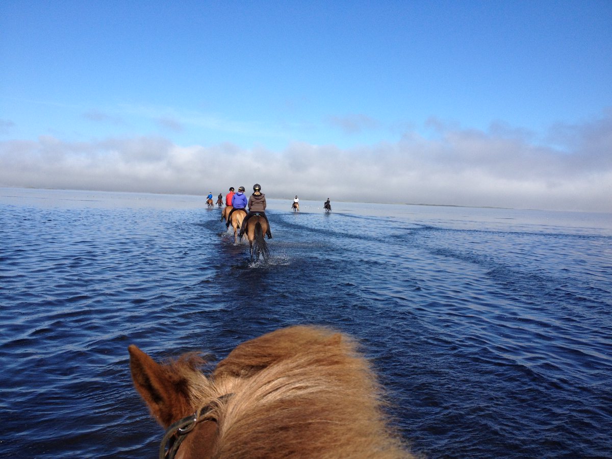 ishestarriding's tweet photo. Crossing the Lake Hóp in our Trail of Hóp tour :)
#ishestar
#ishestarridingtours https://t.co/yIzuPTqE2M