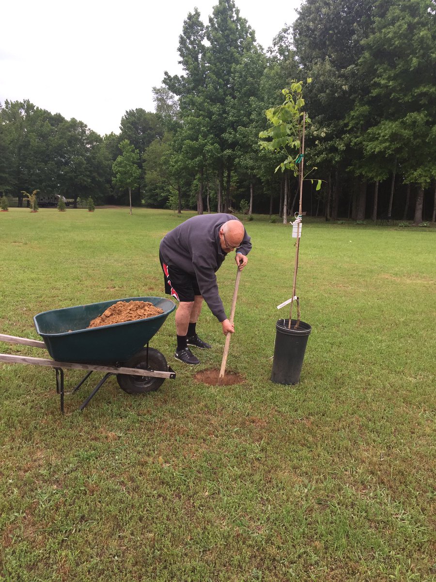 CoachKWatkins's tweet photo. Planting Mandy's Mothers Day gift from Joshua.  Pecan trees, a way to remember her Dad! #pecansheller https://t.co/tKR4YOPmTv