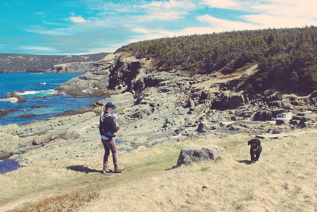 kmoxley's tweet photo. Can't wait to explore and discover my new home province this summer. This place is beyond beautiful!  #newfoundland https://t.co/1AUYX6oS7R