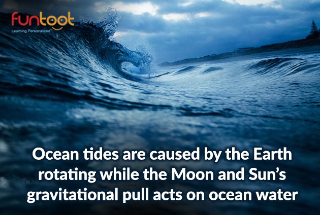 funtoot's tweet photo. The Earth experiences two high tides per day. #sciencefact #funtoot #tides https://t.co/mLEX6iG9po