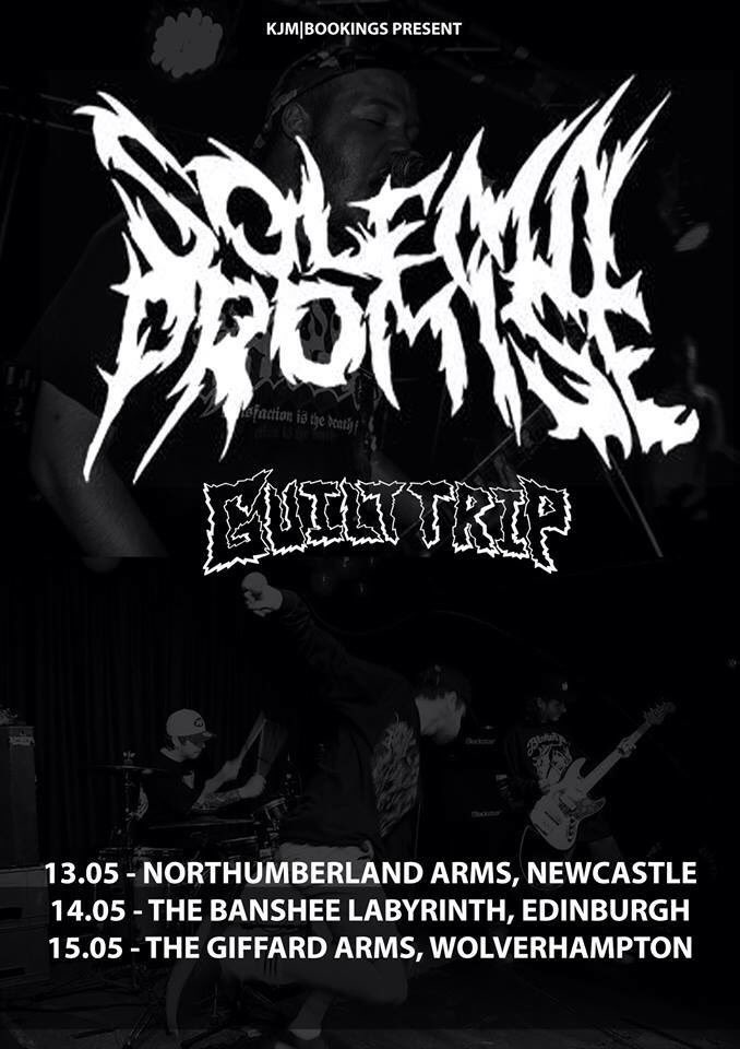 Solemn Promise tweet media