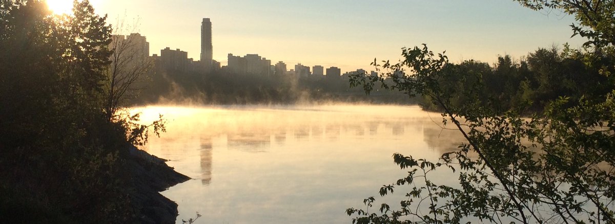 Early morning asparagus forage in #yeg.