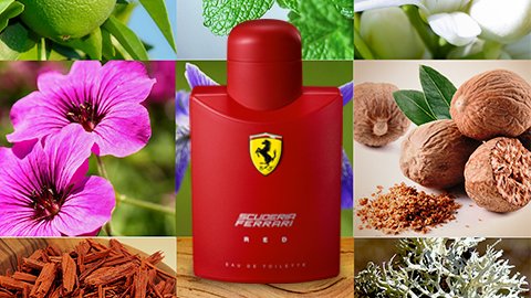 perfumeholding's tweet photo. #SFRed  é uma fragância agrumada e lenhosa  das frescas notas de bergamotto e menta verde. https://t.co/1T4DqZ5sW6