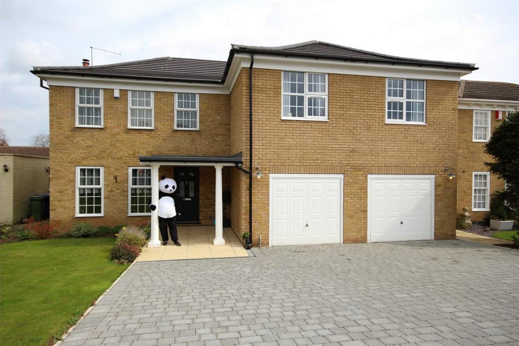 OnTheMarketCom's tweet photo. Want to sell your house?  Dress up as a panda! https://t.co/ZIm3sTs8uD https://t.co/zK5QJzo3G6