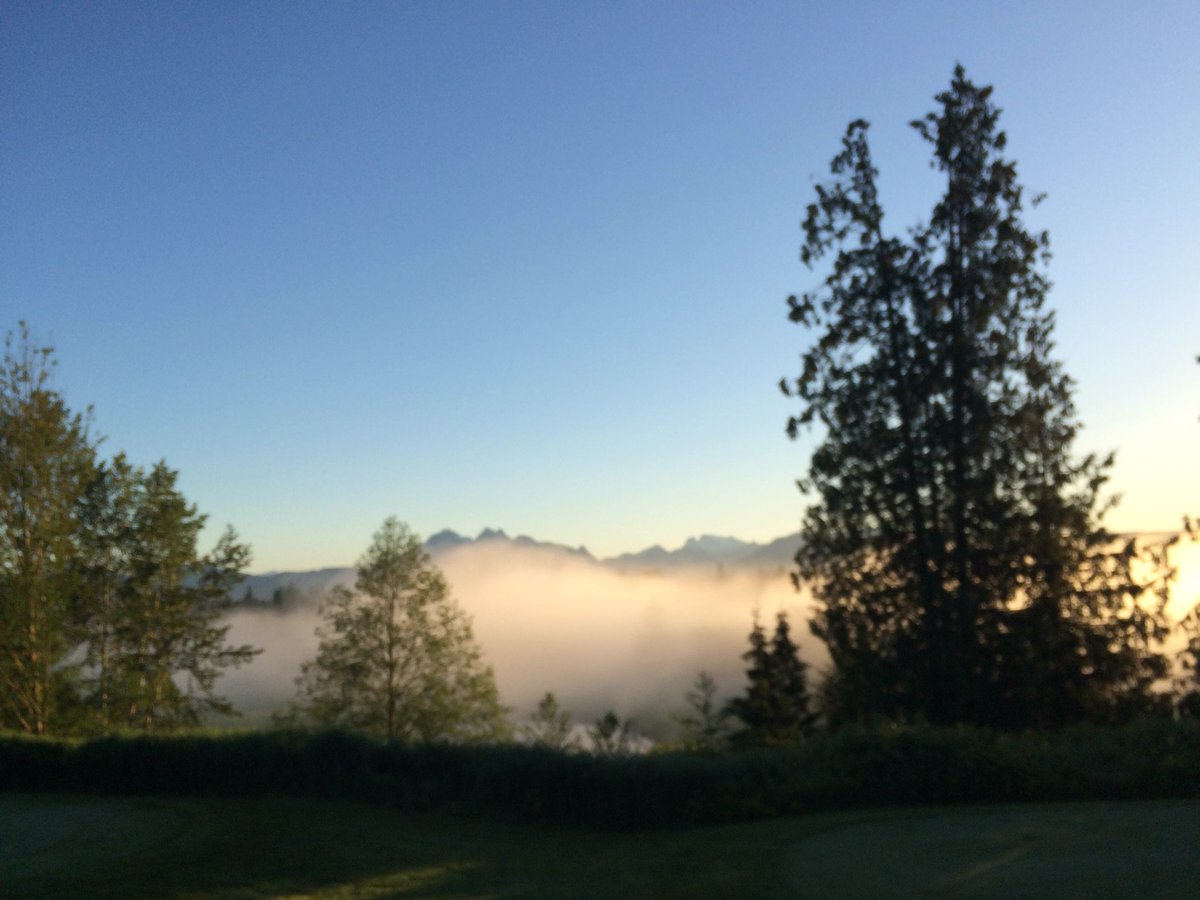GuestMitchell's tweet photo. Foggy morning should turn out to be a great day for a round @BelmontGC @WCGG #greatrates #fixballmarks https://t.co/MxfE1k4rZh