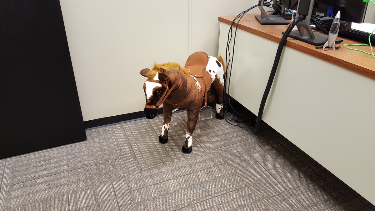 brandiwine2021's tweet photo. "Denver" arrived safely and now has pride of place in my office. We all love him Thanks, @RunnerTech! #elive16 https://t.co/GMY6JZM0dJ